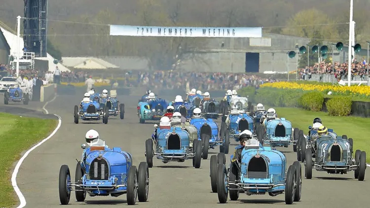 Bugattis at Goodwood