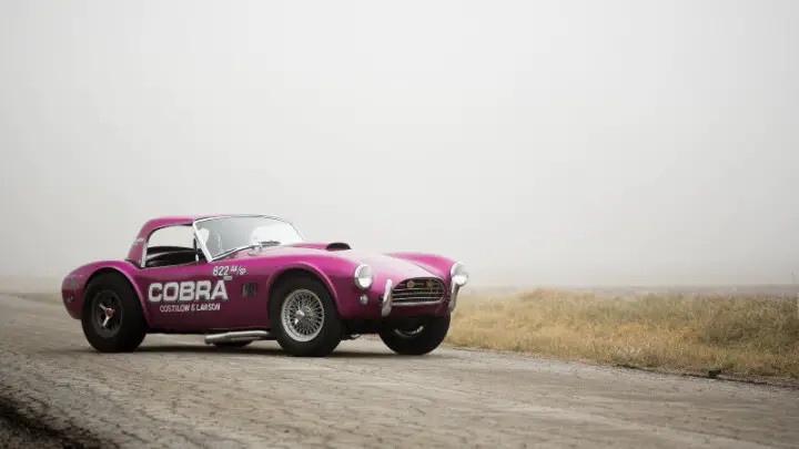 1963 Shelby 289 Cobra "Dragonsnake"